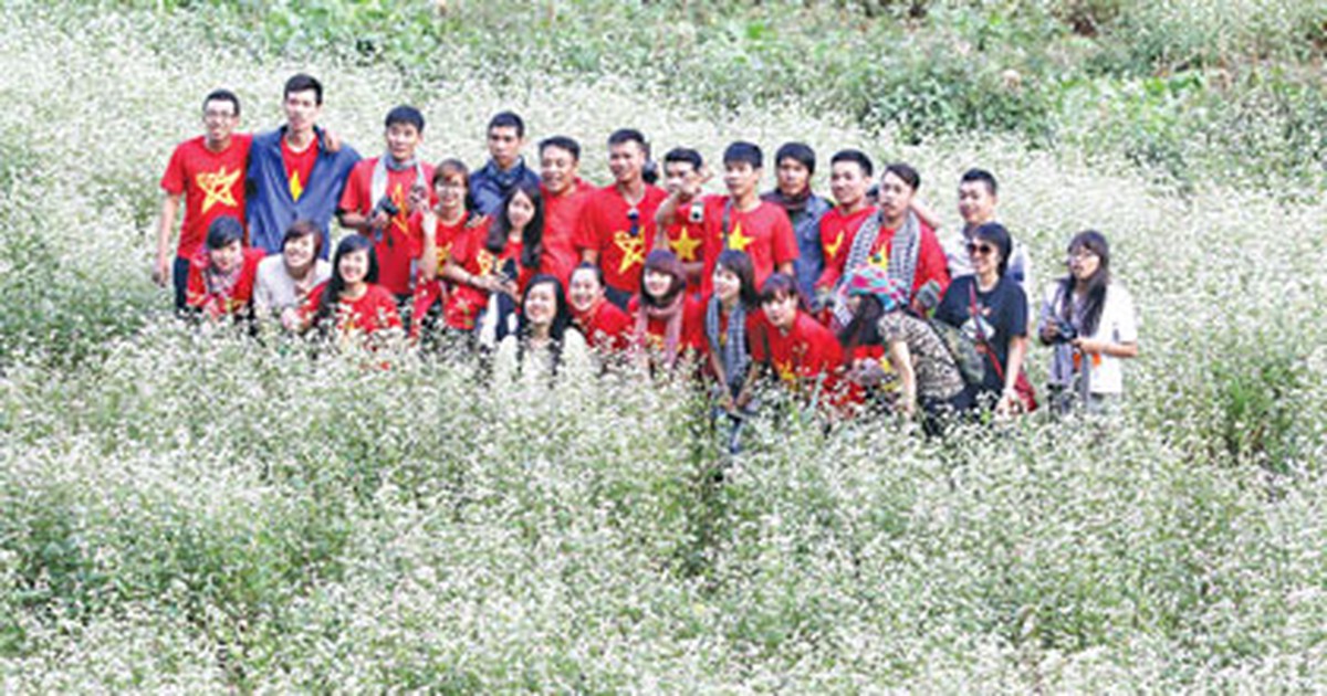 Thiên đường hoa tam giác mạch