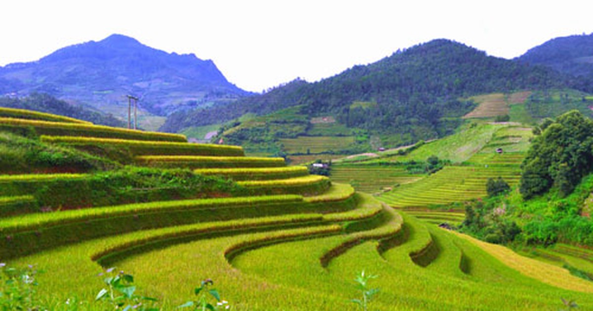 Thăm bản Noong Chứn