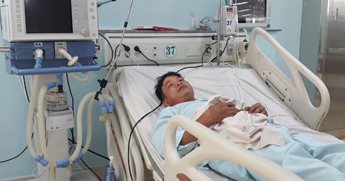 Ăn nấm mọc trên thân cây tràm, 2 vợ chồng nhập viện cấp cứu