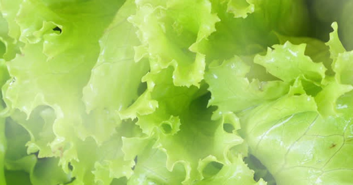 Những loại rau củ không nên hâm lại