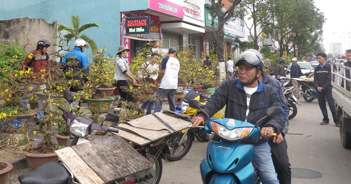 Mai Bình Định chiếm lĩnh thị trường Đà Nẵng