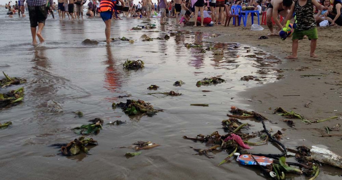 Nghỉ lễ xong người đi về, rác ở lại: Phạt nặng hành vi thiếu ý thức