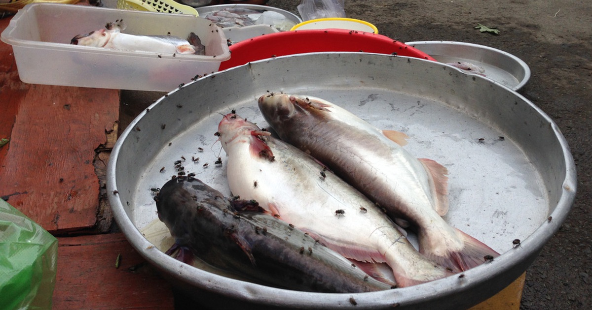 Chiếm đường họp chợ ngang nhiên ở Sài Gòn