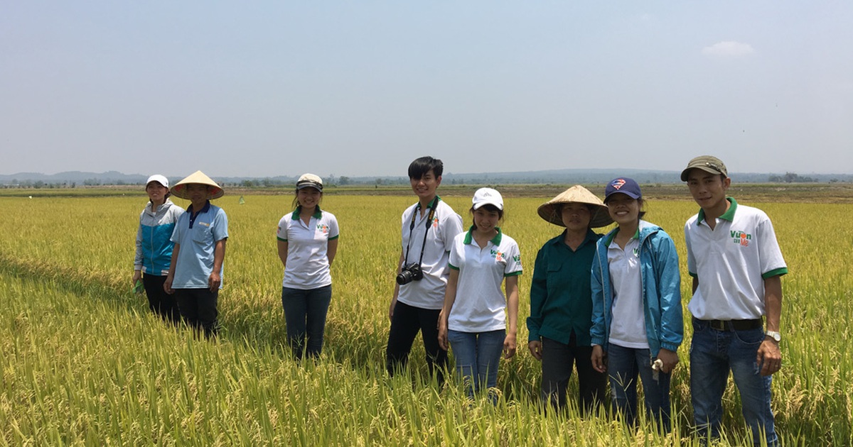 Giới trẻ thành phố táo bạo khởi nghiệp bằng... nghề nông