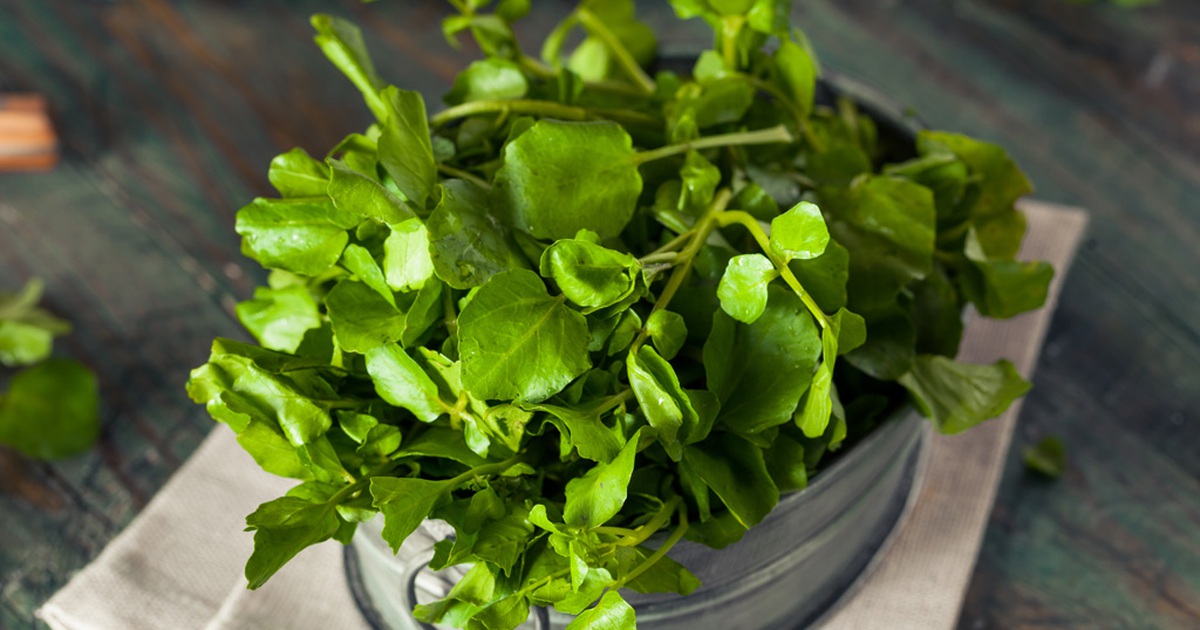 Cải xoong có thể giúp ngừa bệnh ung thư vú