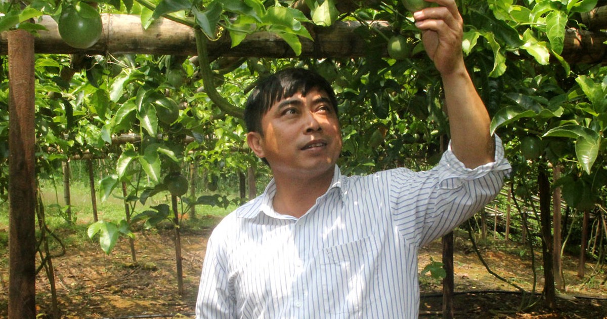 Đổi thay ở 'vùng đất của phỉ'