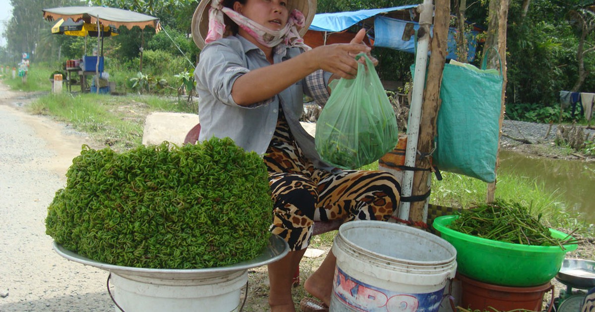 Đặc sản mùa mưa