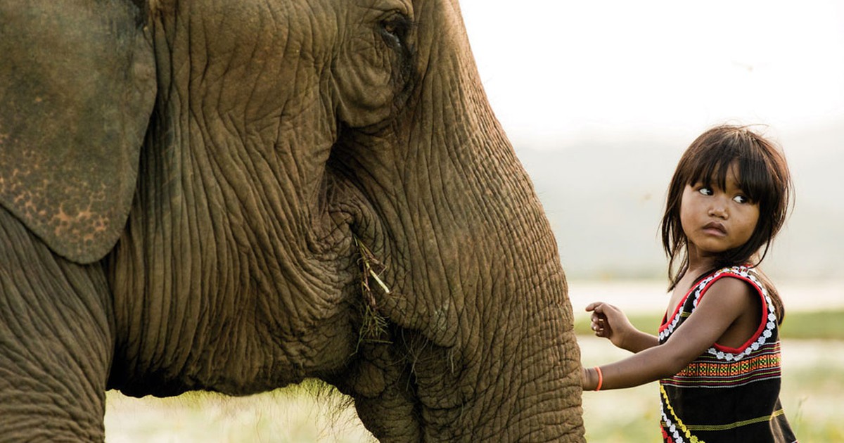 Trưng bày ngoài trời bộ ảnh 'Di sản vô giá'