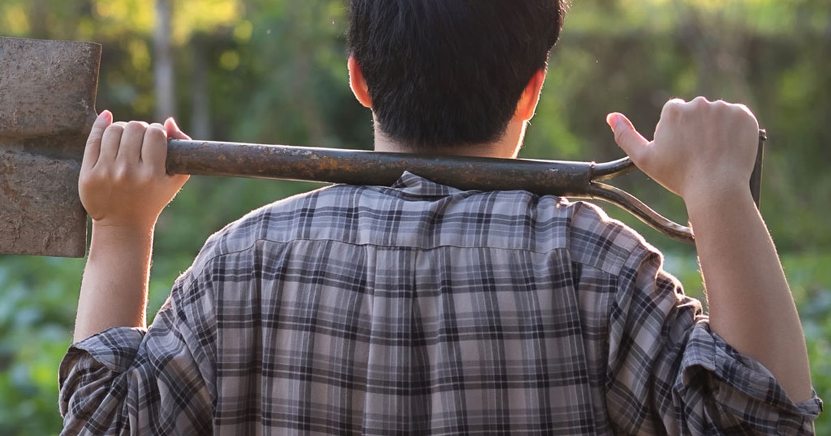 Thực phẩm chay không chỉ có hay