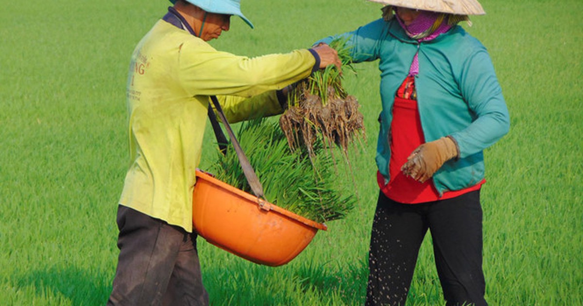 Miền Bắc, miền Trung nắng nóng, Tây nguyên và Nam bộ đề phòng mưa giông