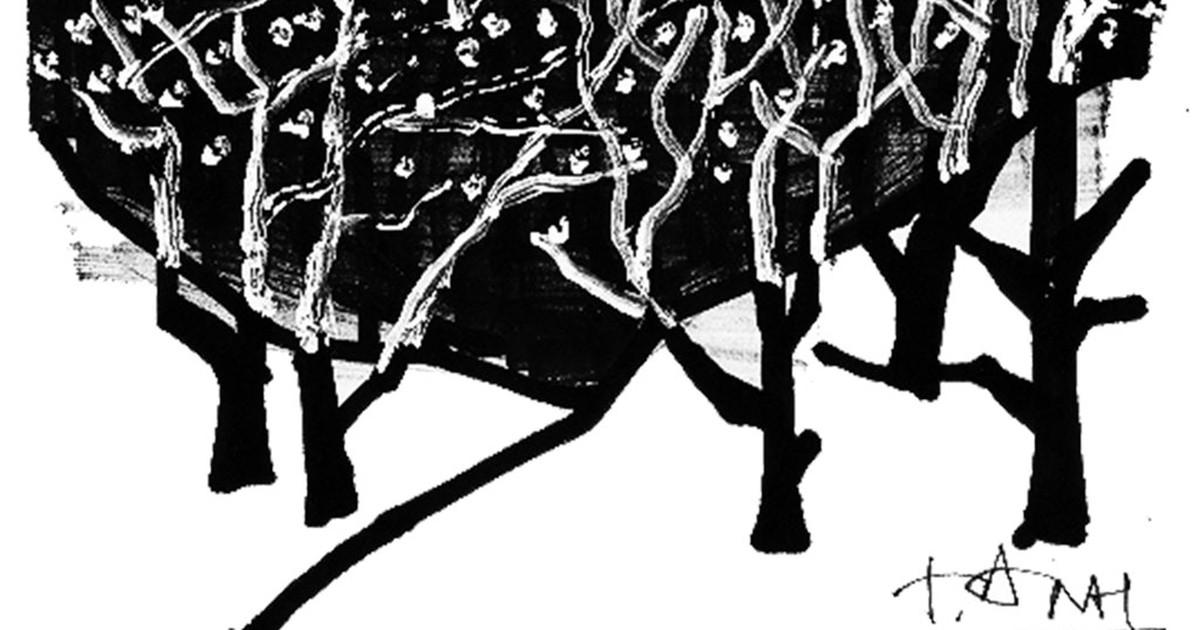 Đêm sao ở Từ Viên - Thơ của Tôn Nữ Thu Thủy