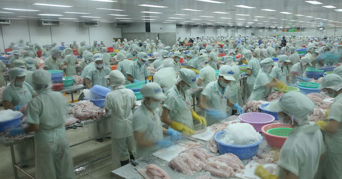 Xuất khẩu thủy sản sang Trung Quốc vượt 1 tỉ USD