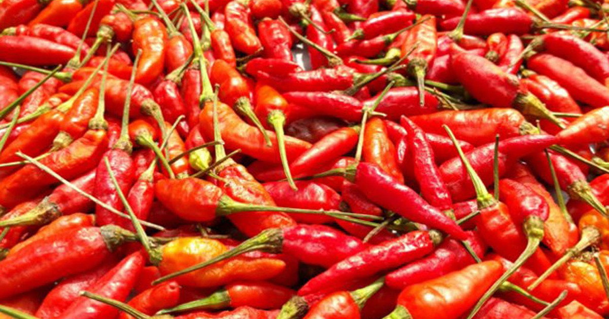 Ăn cay giúp giảm nguy cơ tử vong do ung thư, bệnh tim