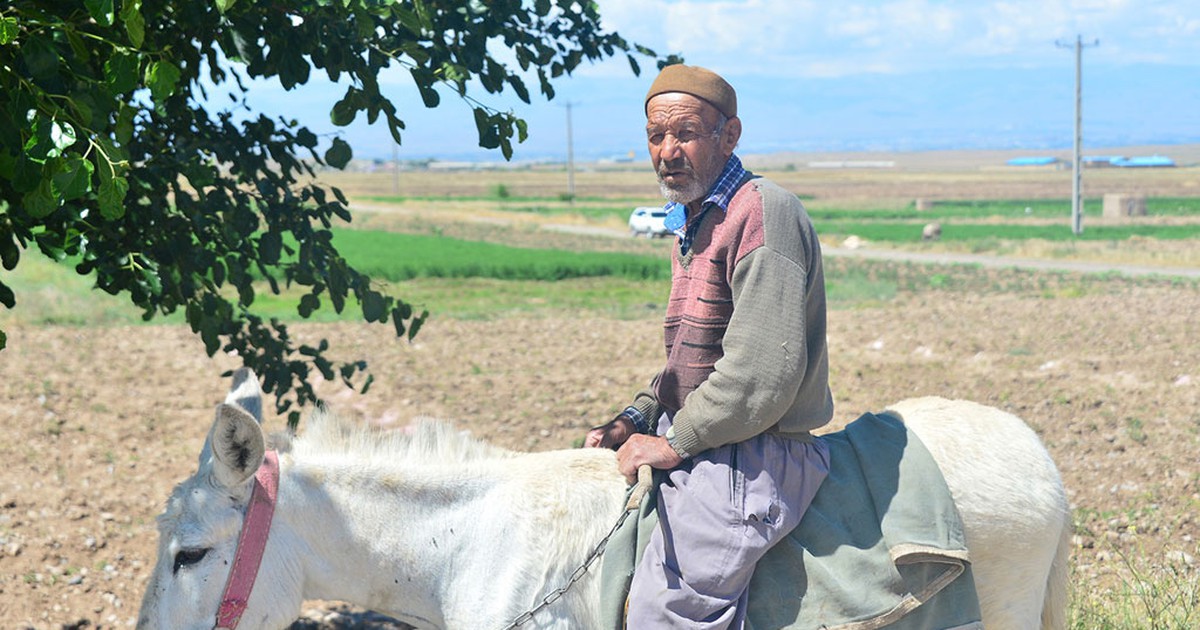 'Nghìn lẻ một đêm' du ký: Sống kiểu nhà quê ở Ba Tư