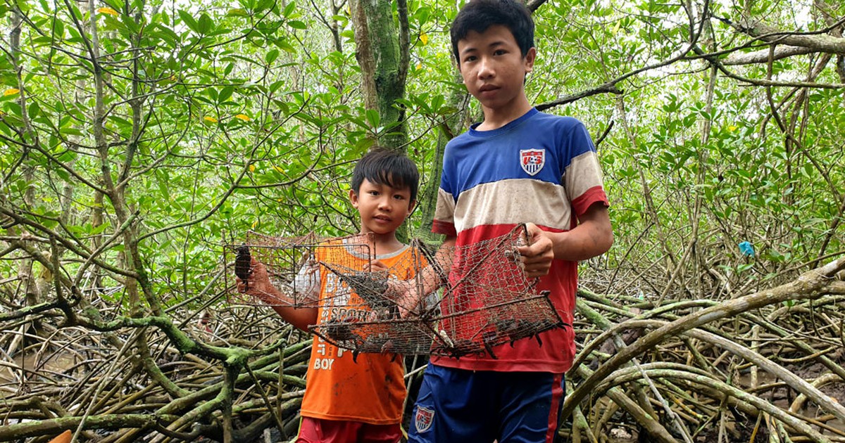 Về Cà Mau bắt ba khía với tụi nhỏ, làm quá trời món ngon