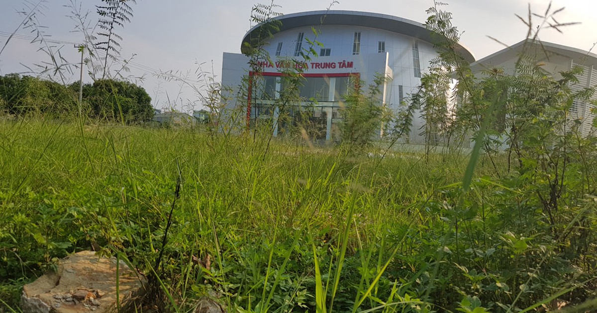Nhà văn hóa hàng chục tỉ để cỏ dại xâm lấn!