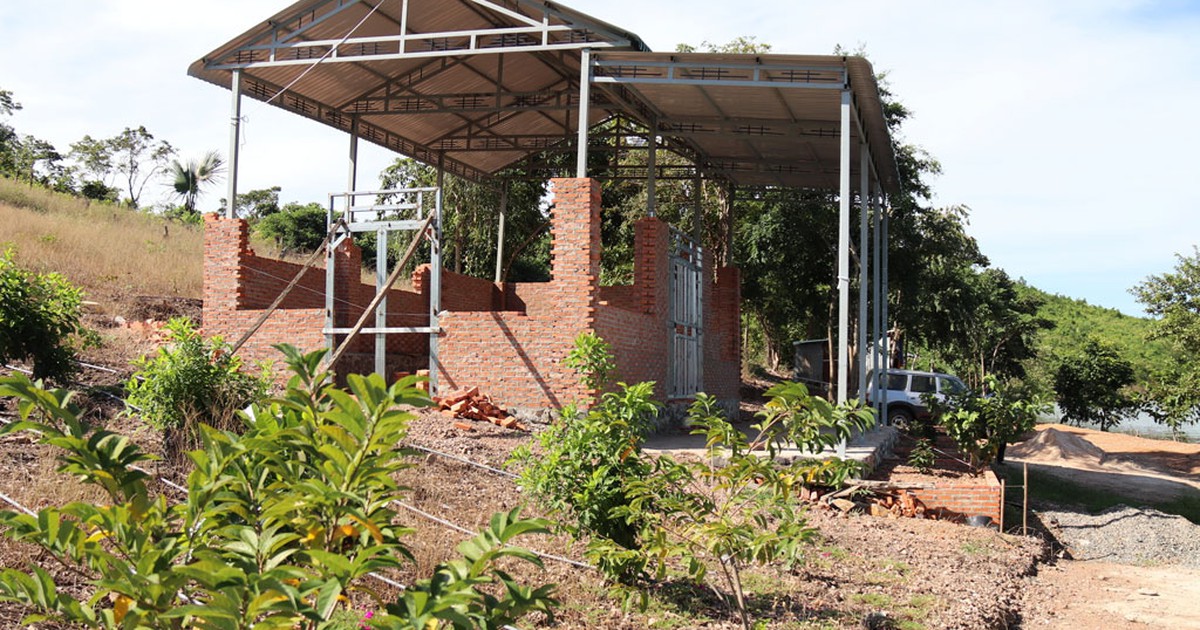 Chiếm hàng chục ha đất công làm vườn sinh thái