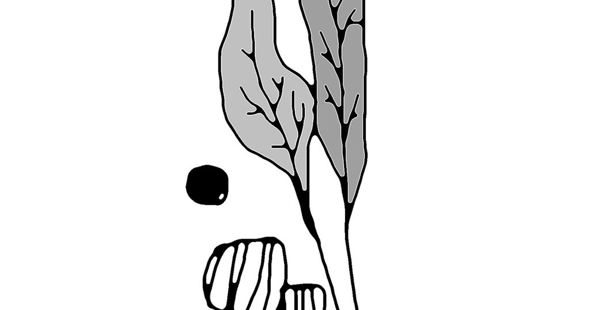 Nghĩ về niềm yêu đời - Thơ của Lê Minh Quốc