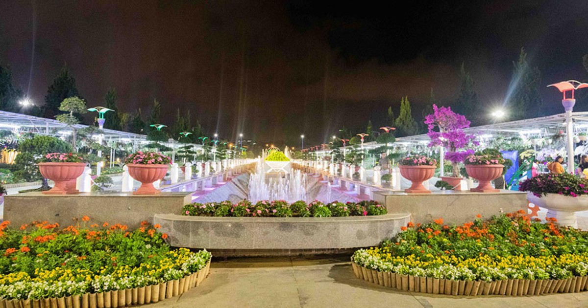 Vườn hoa Đà Lạt mở cửa đón du khách ban đêm