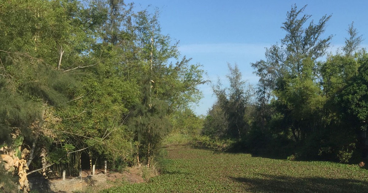 Bên dòng Hà Sấu