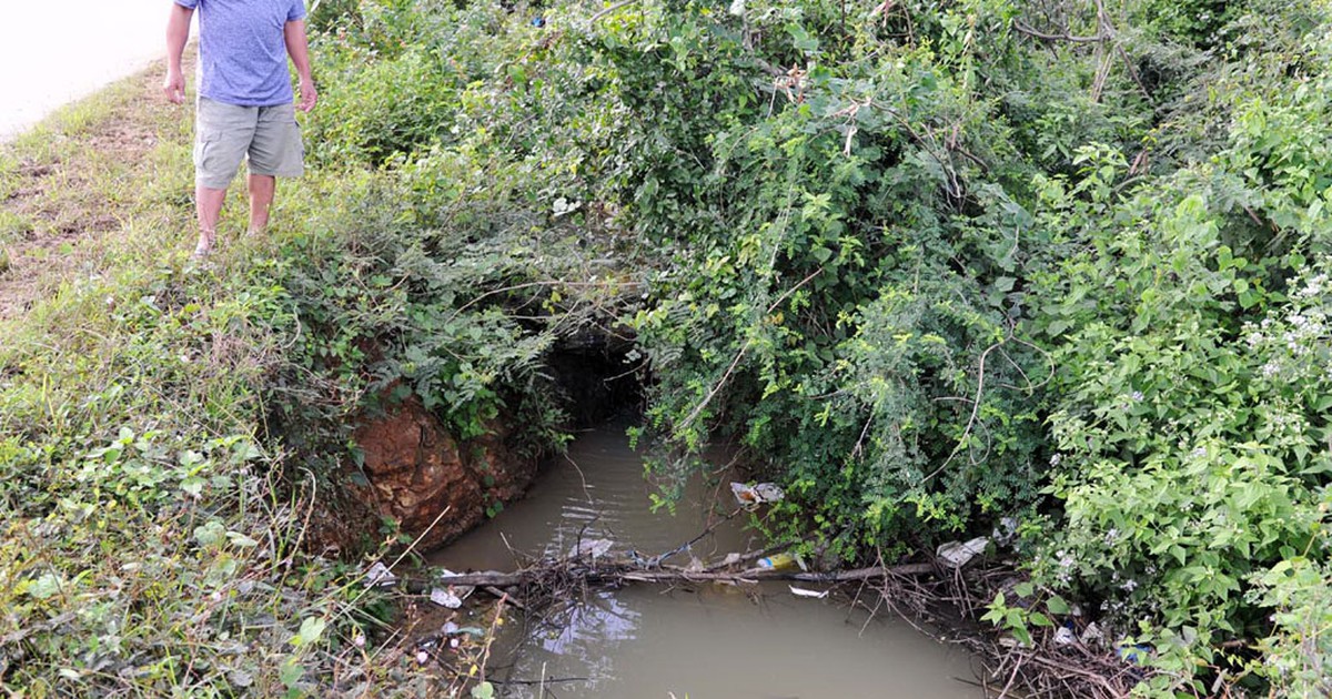 Nước bẩn từ nghĩa trang gây ô nhiễm khu dân cư