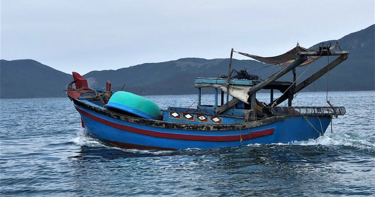 Lợi dụng giãn cách, tàu giã cào càn quét vịnh Vân Phong