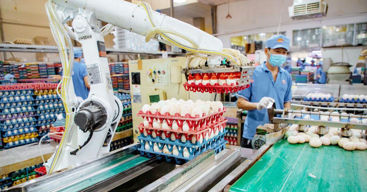 Kiên cường giữ vững sản xuất