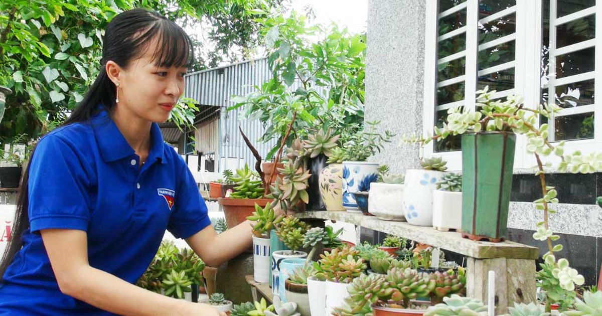 9X sống khỏe nhờ trồng cây kiểng