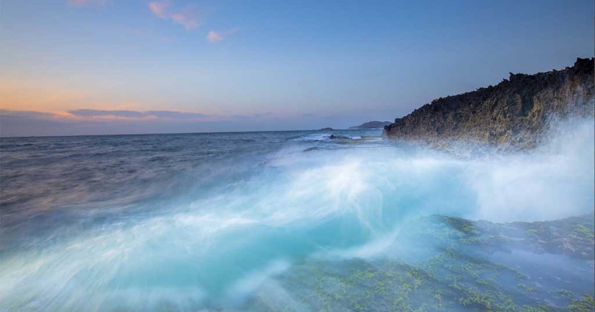'Thảo nguyên cây gai' trở thành Khu dự trữ sinh quyển thế giới