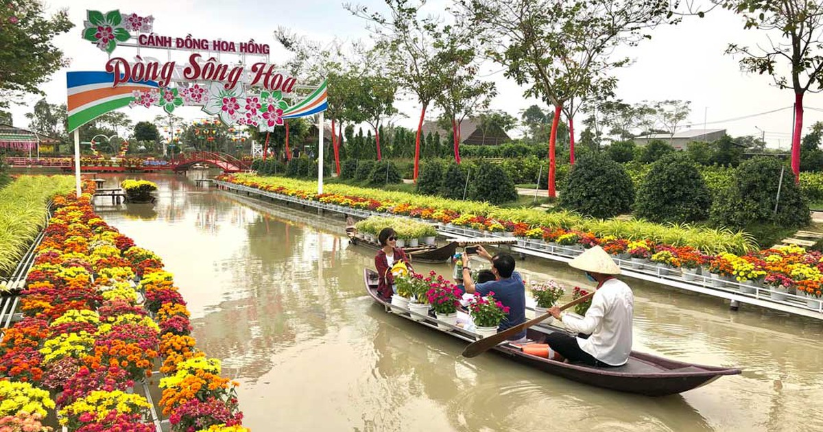 Độc đáo làng Việt: Làng hoa phồn thịnh giữa miền Tây