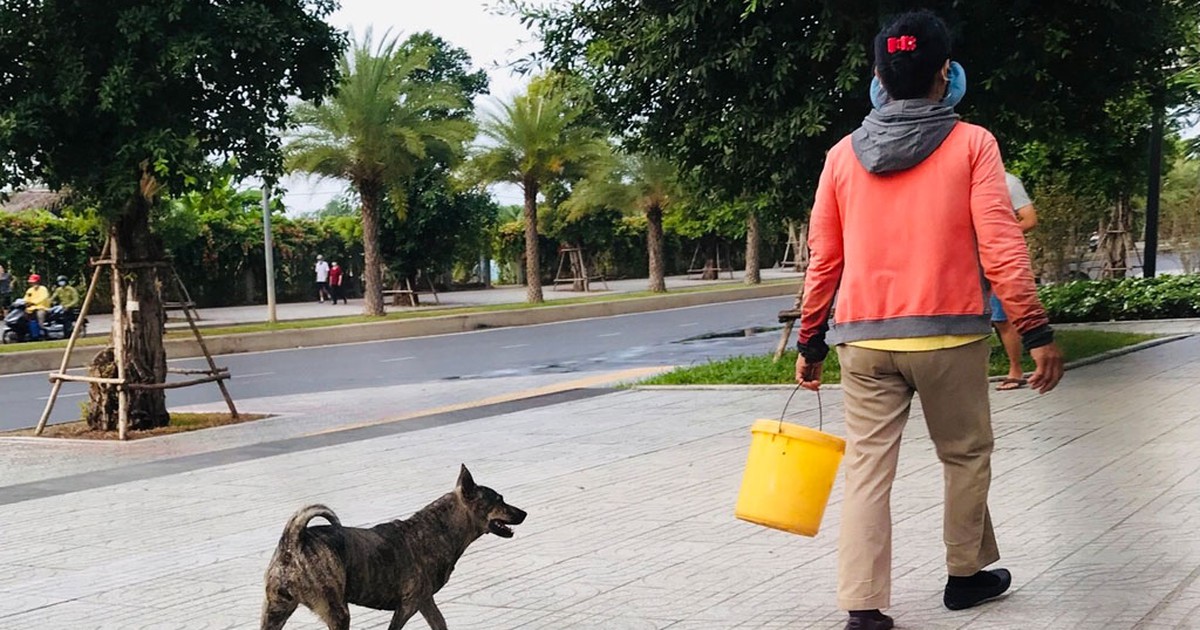 Các ca mắc bệnh dại tử vong đều do chủ quan không tiêm phòng