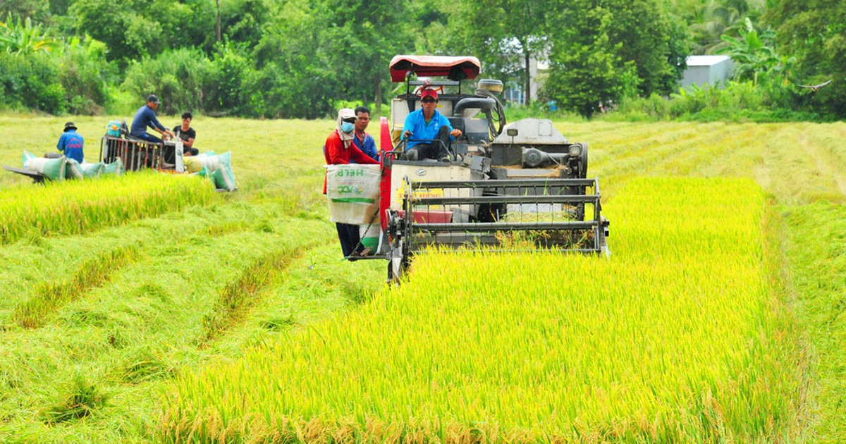 Lắng nghe người trồng lúa