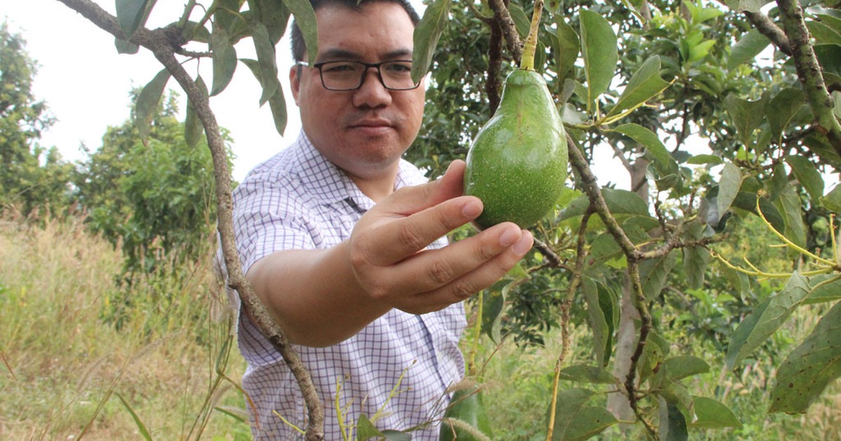 Tâm huyết gửi Đại hội Đoàn: Những hiến kế của giám đốc tuổi 33