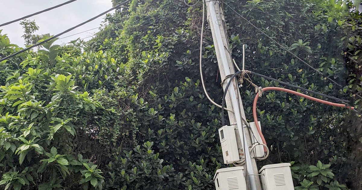 Trụ điện nghiêng nguy hiểm