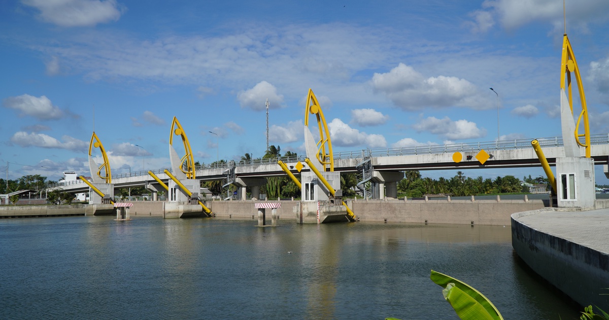 Vĩnh Long: Chủ động đóng cống ứng phó xâm nhập mặn, người dân yên tâm sản xuất