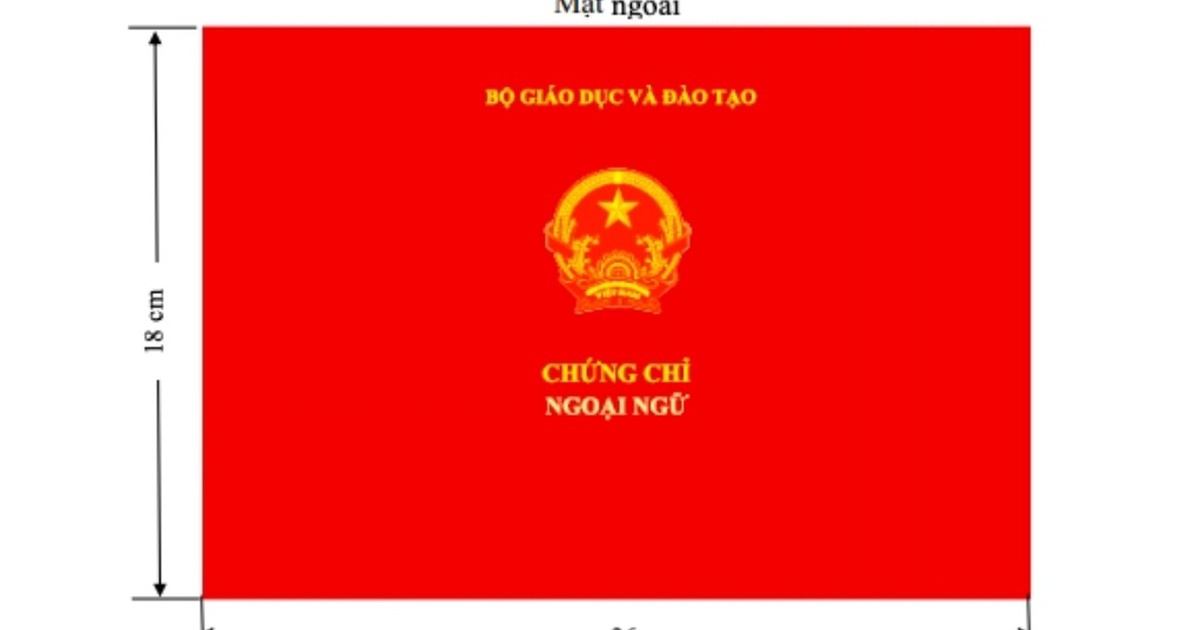 Từ ngày 1.8.2021, không yêu cầu chứng chỉ ngoại ngữ, tin học đối với công chức hành chính, văn thư