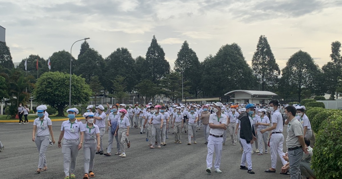 TP.HCM: 1.000 công nhân Công ty Nidec Servo ngừng việc, kiến nghị tăng lương