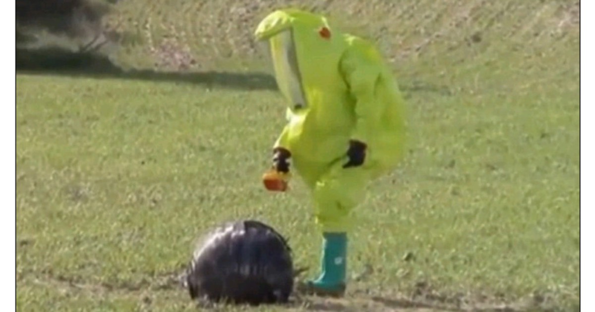 Quả cầu đen bí ẩn rơi giữa cánh đồng Tây Ban Nha