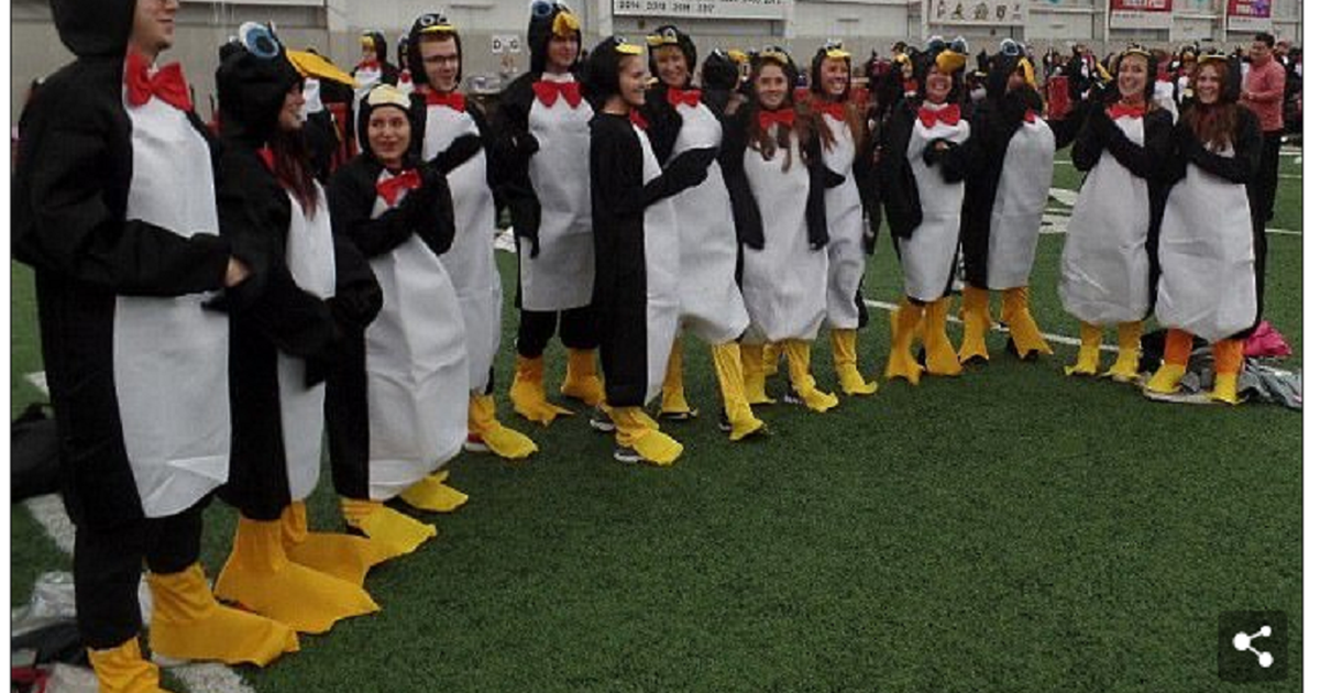 Vào sách Guinness nhờ 972 sinh viên hóa thành chim cánh cụt