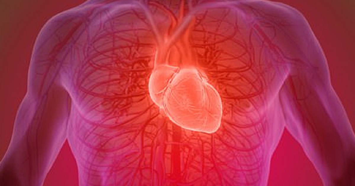 Phát hiện cách tập thể dục 15 phút/ngày cũng đủ tăng sức mạnh tim