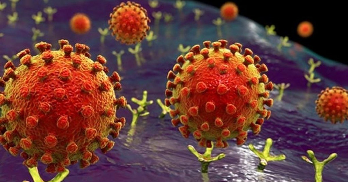 Phát hiện thuốc mới có thể điều trị hiệu quả Covid-19