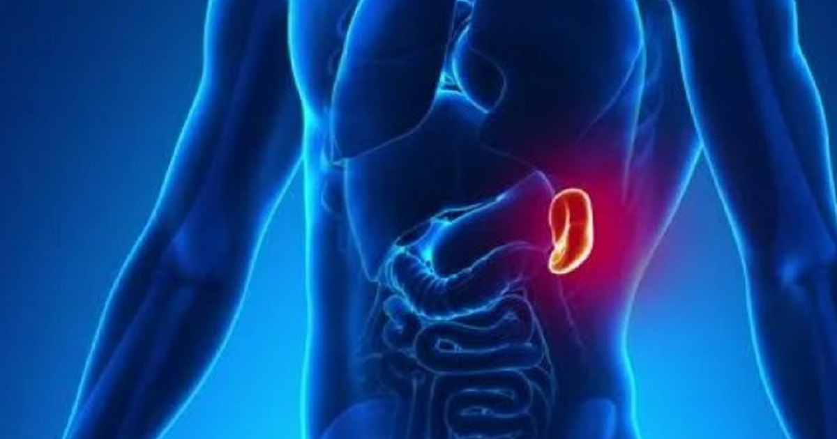 Dấu hiệu nào cảnh báo chấn động đã gây vỡ lá lách?