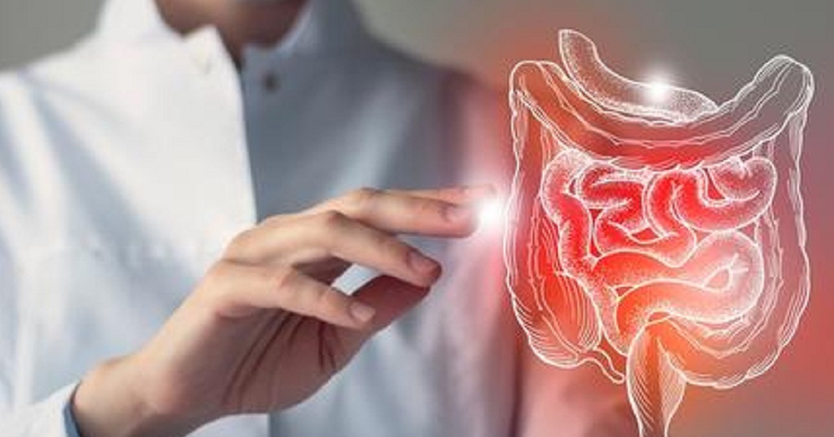 Bị đau bụng, làm sao để biết là viêm túi thừa hay ngộ độc thực phẩm?