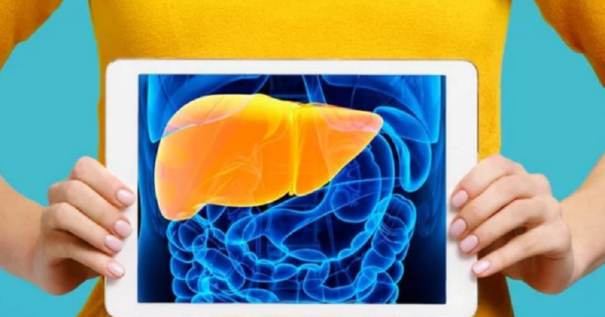 Phát hiện bất ngờ về gan: Gan trẻ hơn tuổi thật con người khoảng 3 năm