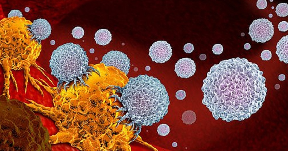 Thuốc chữa khỏi ung thư cho 100% bệnh nhân thử nghiệm hoạt động thế nào?