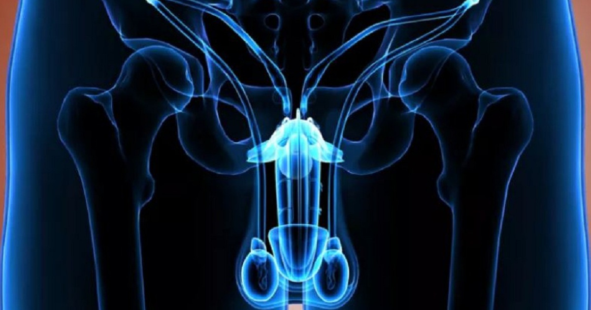 Đau tinh hoàn, khi nào cần phải khám bác sĩ?