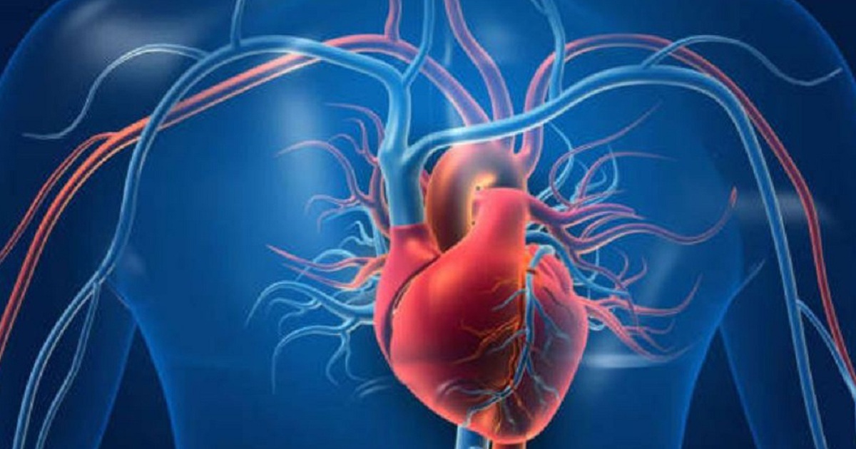 Người đàn ông sống với lỗ thủng trong tim suốt 50 năm mà không biết