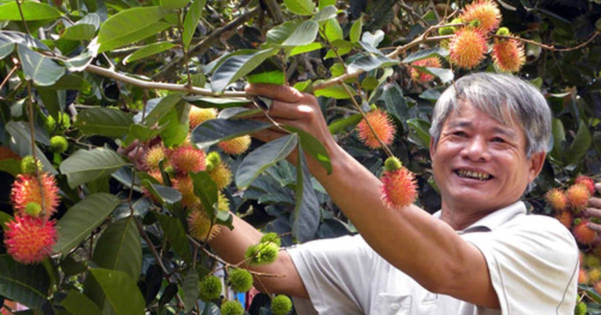 Liên kết phát triển sản phẩm nông nghiệp chủ lực