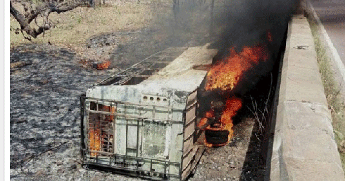 Xe buýt rơi xuống cầu bốc cháy, 28 người chết