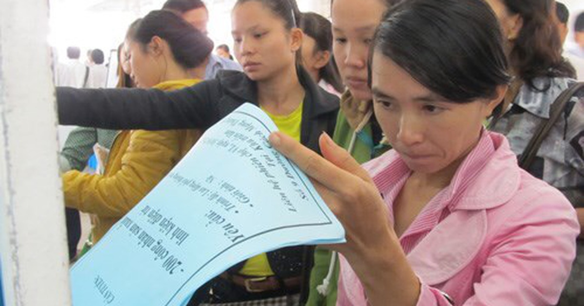 6 tháng đầu năm giải quyết việc làm cho 785.000 lao động